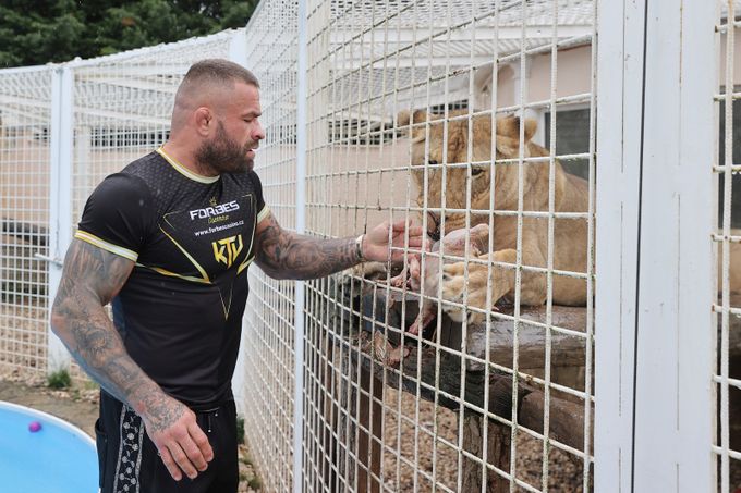 Milovník fauny Vémola si užívá domácí zoo. Nejen tu má v plánu rozšířit: Jsem českej MAUGLÍ! Milovník fauny Vémola si užívá domácí zoo. Nejen tu má v plánu rozšířit: Jsem českej MAUGLÍ!