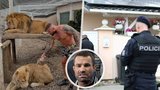 Další trable bijce Karlose: U Vémoly znovu zasahuje policie! Kvůli jeho šelmám…