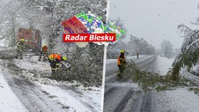 Sněhová kalamita na Karlovarsku! Vlaky stojí, silnice kloužou. A bylo až -10 °C, sledujte radar Blesku