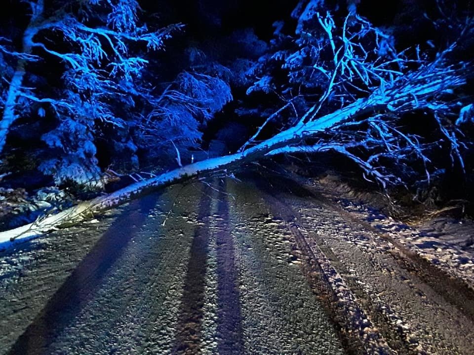 V úterý se začne oteplovat, sledujte radar Blesku.