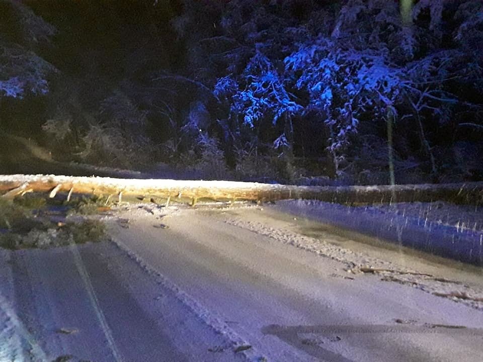 V úterý se začne oteplovat, sledujte radar Blesku.