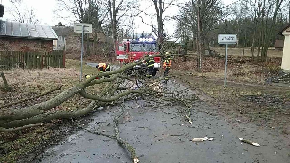 Karlovarský kraj zasáhl silný vítr. Na autobus spadl strom. (2020)