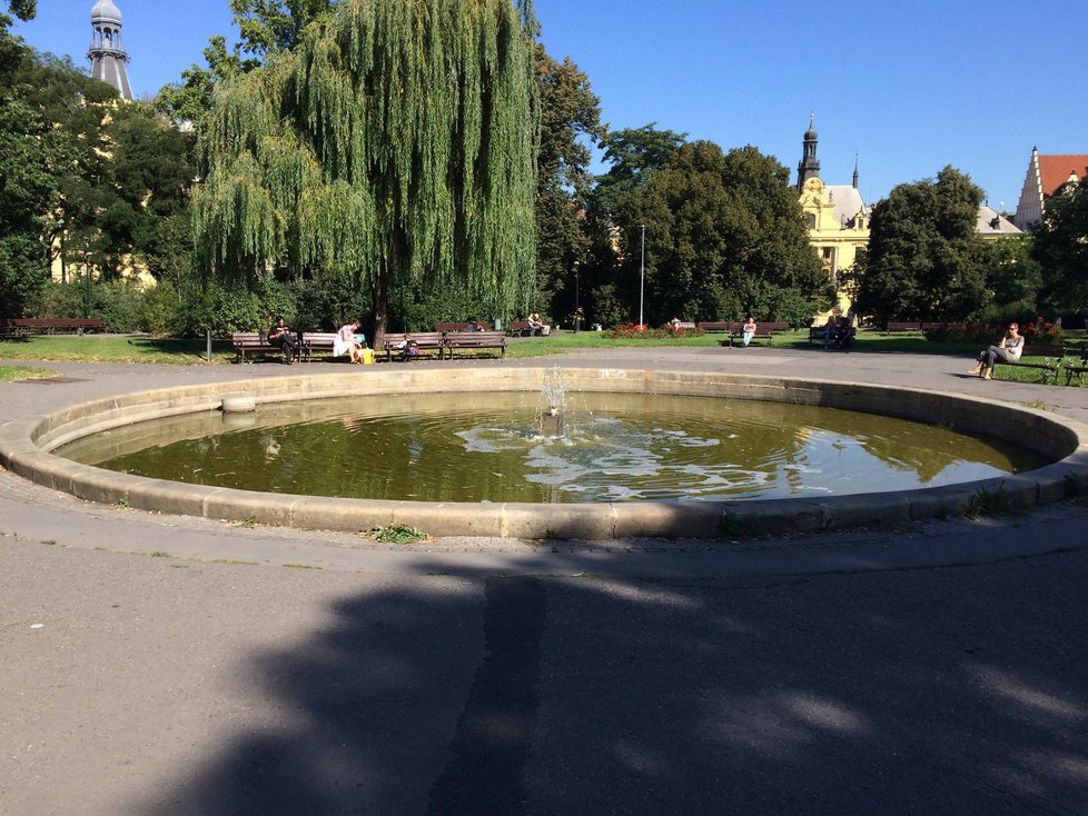 Kašna uprostřed místního parku na Karlově náměstí.
