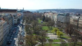 Lidem vadí na Karlově náměstí zanedbaný park, nebezpečná zákoutí a jeho rušnost.