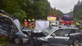 Tragická nehoda v serpentinách nad Karlovými Vary: Zemřel otec (†50) a malý syn!