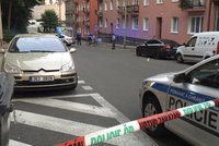 Přestřelka v Karlových Varech: Policie pátrá po holohlavém muži se zbraní