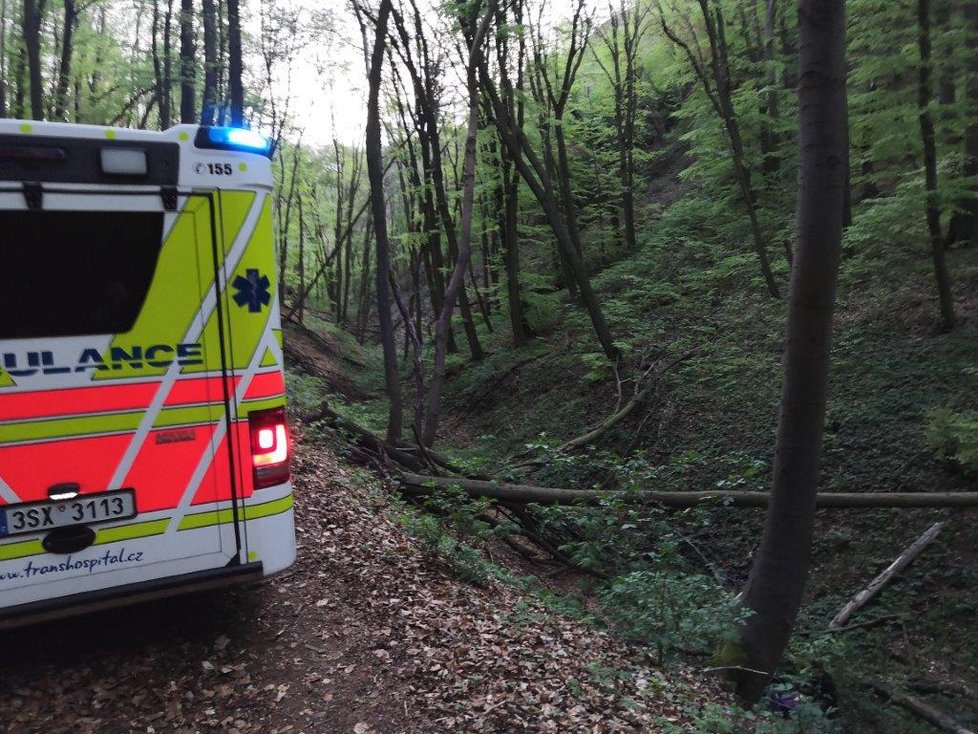 Dívka u Karlštejna spadla do rokle: Sanitka pak musela čtyři kilometry couvat úzkou lesní pěšinou.