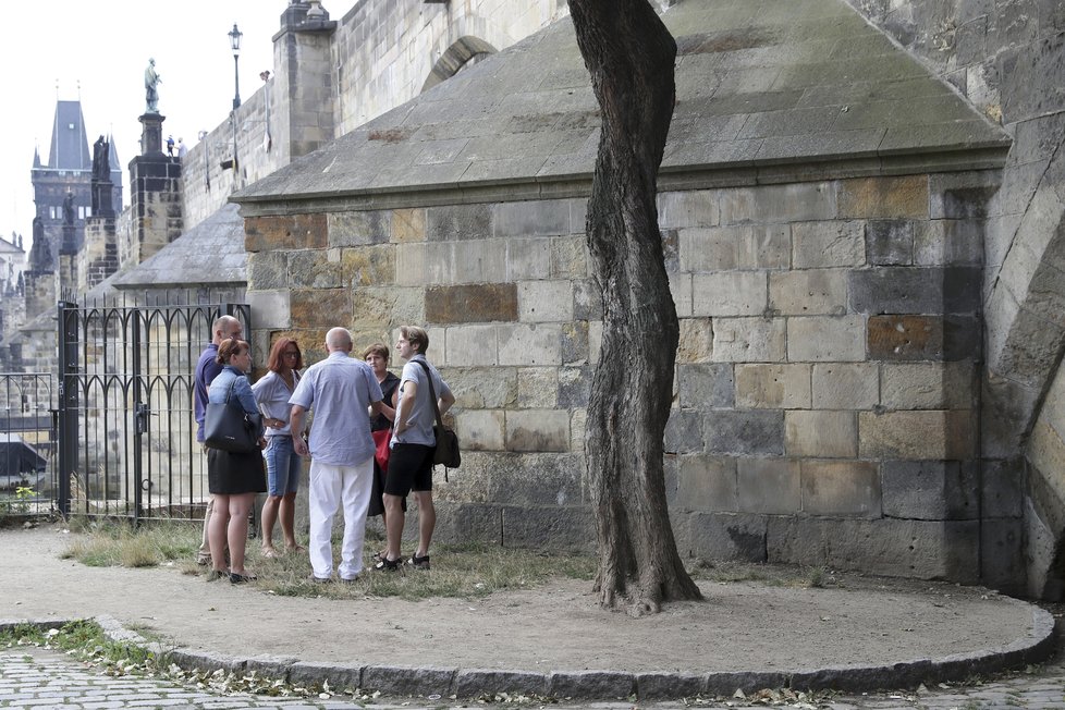 Odstranění graffiti z Karlova mostu podle laboratorních výsledků stavbu nenarušilo.