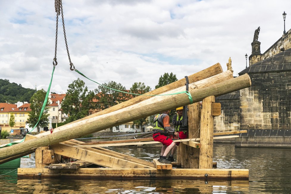 Karlův most se dočká sedmi nových ledolamů. Jejich dřevo pochází z Moravy a vydržet by mělo desítky let.