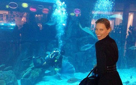 V akváriu ji potápěč lákal za rybami.