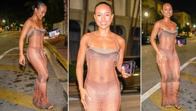 Karrueche Tran jako sexy Chytrá horákyně