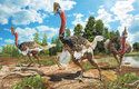 Kasuáři, velcí nelétaví ptáci příbuzní pštrosům, žijí v horkých tropických podmínkách