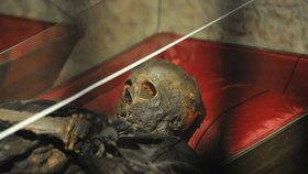 Katakomby v Klatovech chystají novinky: Znít tu bude baroko a mumie můžete mít i v mobilu! 