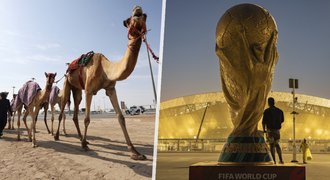 Strach v dějišti fotbalového MS Kataru: Nebezpečný virus!