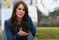 Domácí léčení princezny Catherine? Podle expertů to není moc dobrý nápad!