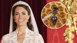 Tajemství rozzářené pokožky vévodkyně Kate? Jed z včelích žihadel! 
