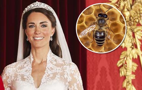 Tajemství rozzářené pokožky vévodkyně Kate? Jed z včelích žihadel! 