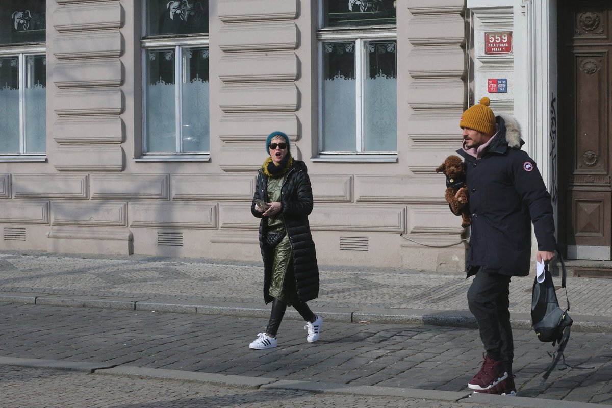 Ostře sledované hrdličky si vyrazily na obídek v centru Prahy.