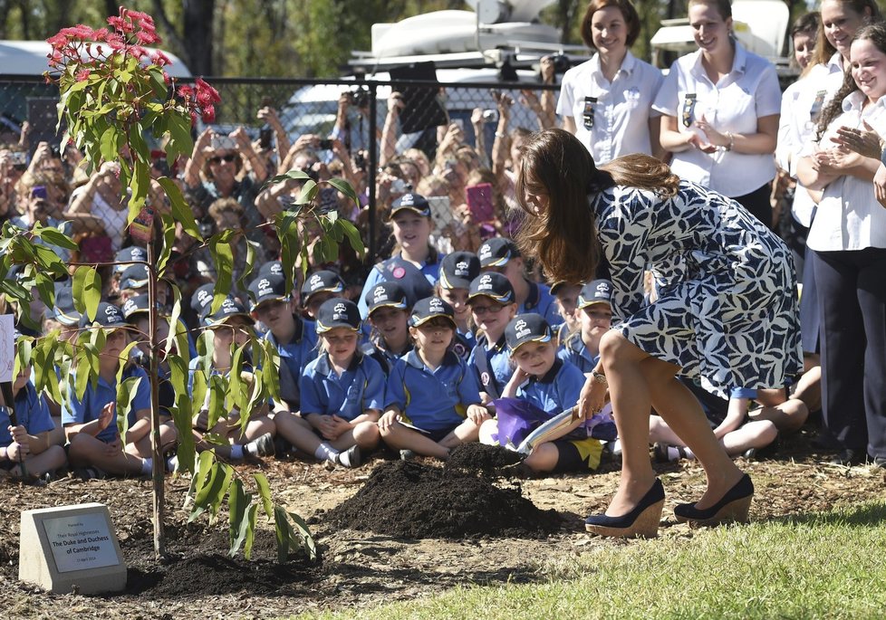 Kate zasadila mladý stromek eukalyptu. Nic jí v tom nezabránilo, ani boty na vysokém klínku.
