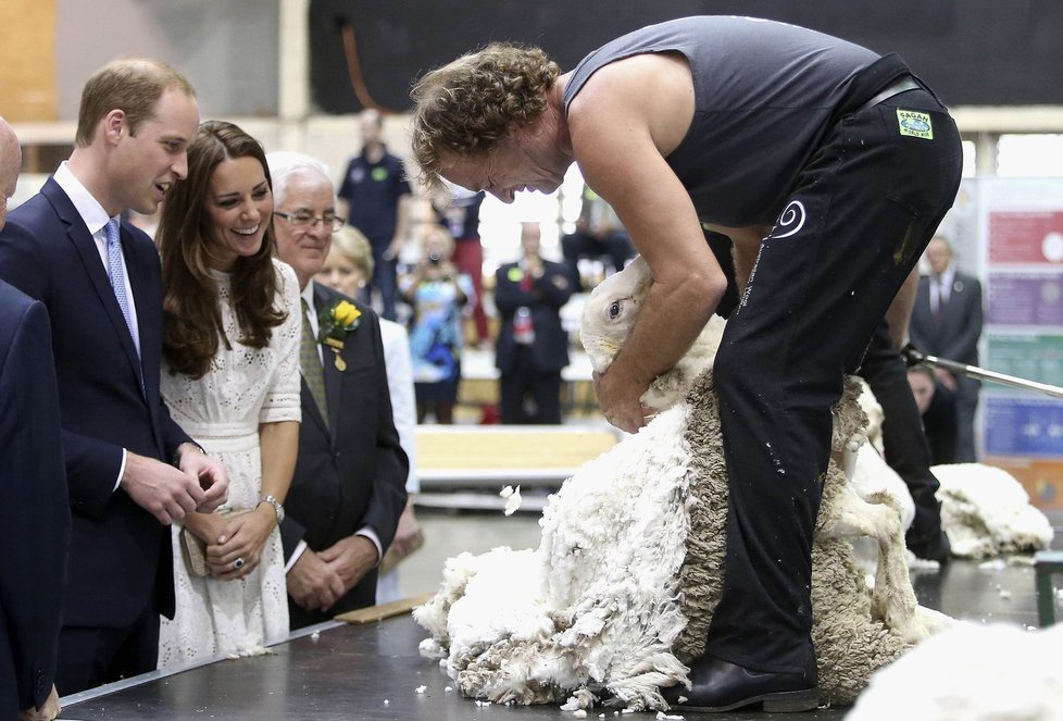 Kate s Williamem na tradiční velikonoční slavnosti přihlížejí stříhání ovce