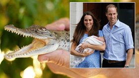 Princ George, syn Kate a Williama, dostal vlastního krokodýla!