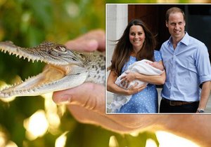 Princ George, syn Kate a Williama, dostal vlastního krokodýla!