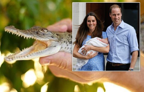 Malému princi posílají dary z celého světa: Dostal krokodýla!