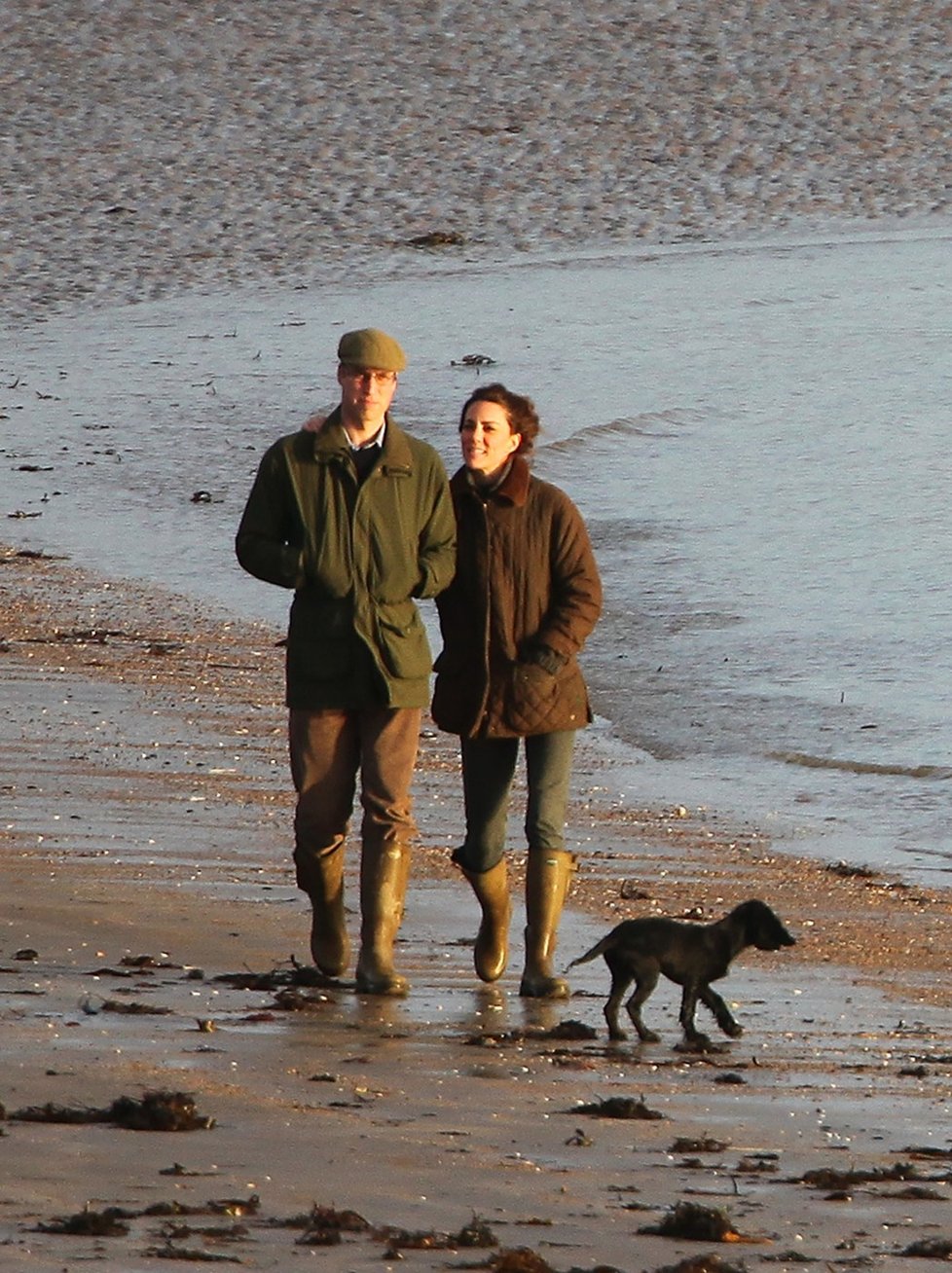 William a Kate si v lednu koupili štěně kokršpaněla