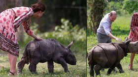 Kate a William se mazlili s mláďaty slonů i nosorožců a krmili je.