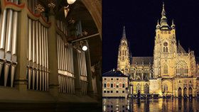 V katedrále se budou po čtyři večery konat varhanní koncerty.