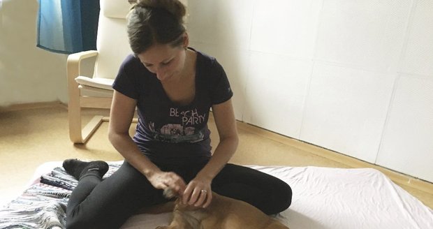 Poradna Blesk tlapky: Ptejte se psí fyzioterapeutky Kateřiny Boháčové