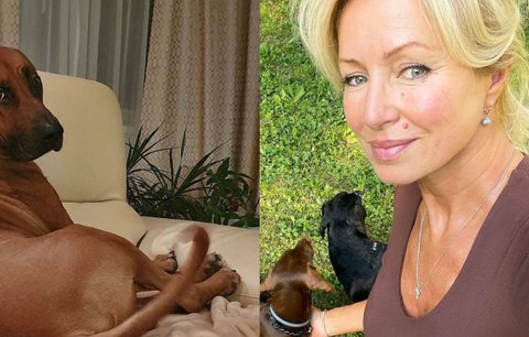 Kateřina Brožová a dramatická smrt psa: Nemohla ho ani pohřbít!