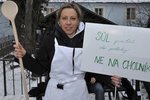 Kdysi "zelená" Kateřina Bursíková Jacques při protestu s vařečkou. Politiku však vyměnila za kuchyni.