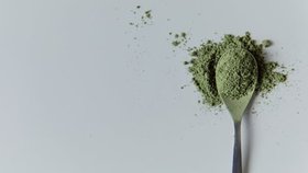 Legalita kratomu ve státech evropy. Kde se s ním můžete setkat?