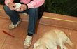 2008: Kateřina se svým čtyřnohým miláčkem. 2008: Kateřina se svým čtyřnohým miláčkem.