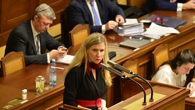 Poslankyně a exministryně školství Kateřina Valachová (ČSSD)