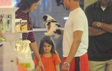 Slzičky princezničky Suri Cruise (6): Chtěla štěně, ale... Máma řekla NE!