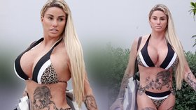 Britská modelka Katie Price alias Jordan vystavila potetované tělo.