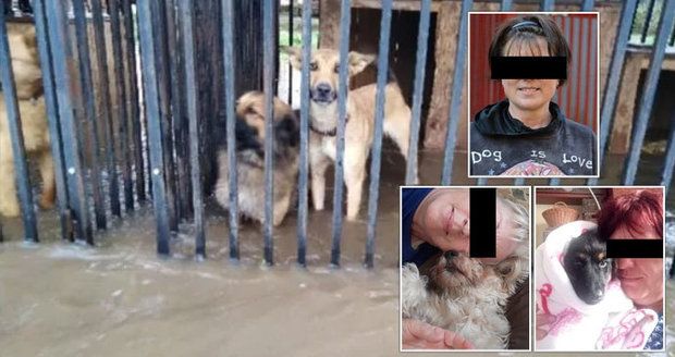 Katka, Zuzana a Zdenka se utopily při záchraně psů z útulku během povodně: Osudný telefonát