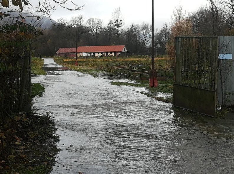 Řeka se vylila z koryta.