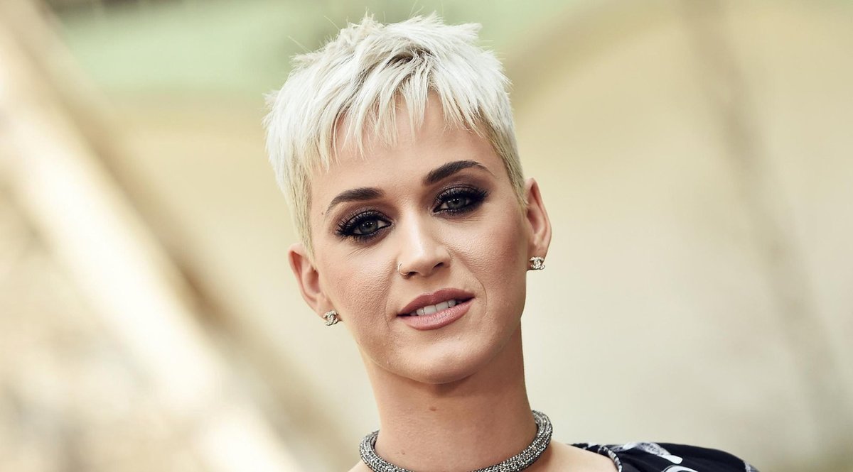 Katy Perry mu uletěla, šel s pudlíkem...