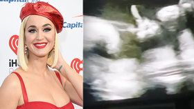 Zpěvačku Katy Perry poslalo její mimčo „někam"