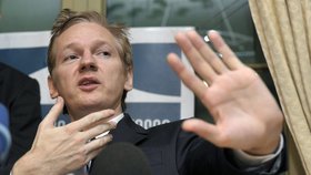 Zakladatel Wikileaks Julian Assange prohlásil, že je útok stál 95 procent příjmů