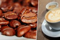 Káva dramaticky zdražuje, můžou za to mrazy a sucha. Ekonom: Češi si v kavárnách připlatí