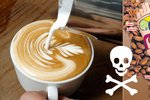 Podle terapeutů Patákyových je ití kávy s mlékem náš zabiják!