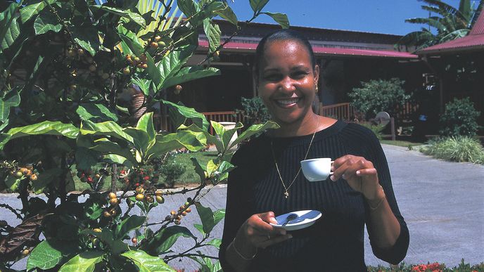 Budova Muzea kávy ve Vieux Habitants, Guadeloupe