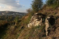 Praha 4 chystá úpravu Kavčích hor. Na revitalizaci přírodní památky spolupracuje s ČZU
