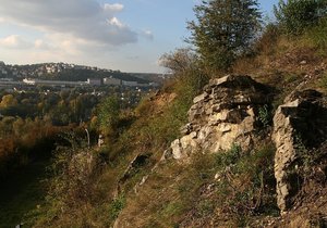 Praha 4 chystá úpravu okolí Kavčích hor, kde se nacházejí hned dvě přírodní památky