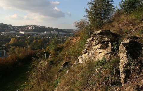 Praha 4 chystá úpravu Kavčích hor. Na revitalizaci přírodní památky spolupracuje s ČZU