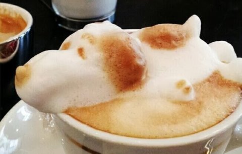 Japonec povýšil kávu na umění: Dělá z pěny 3D zvířátka